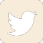 social media Twitter icon